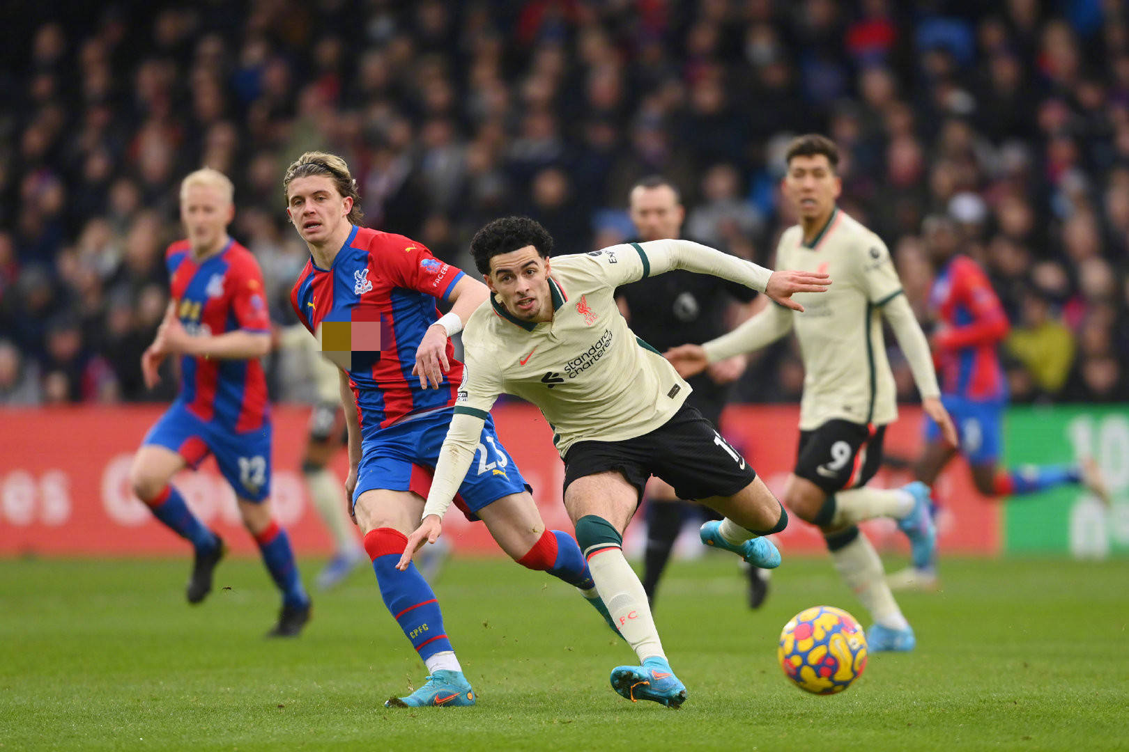 和球迷们共 和球迷们共